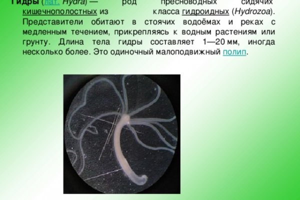 Кракен сайт магазин kraken clear com