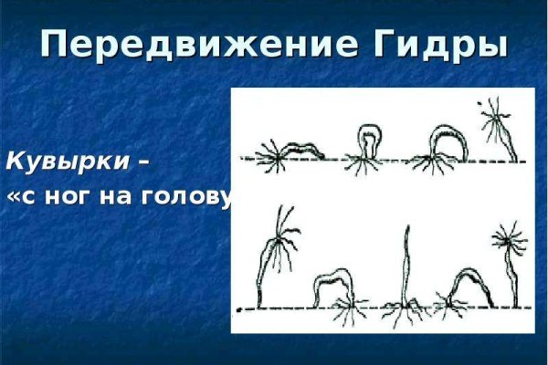 Кракен ссылка что это