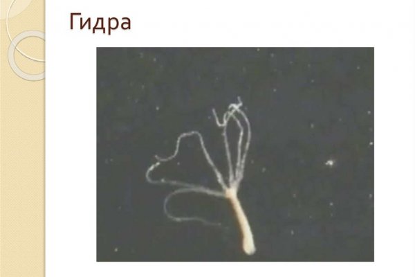 Кракен это даркнет