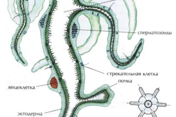 Кракен питер
