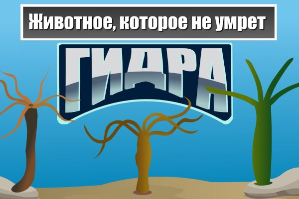 Кракен сайт продаж