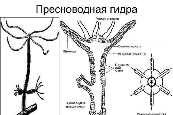 Кракен даркнет только через стор