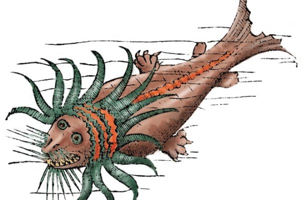 Kraken 23at