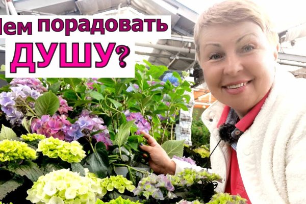 Кракен войти сегодня