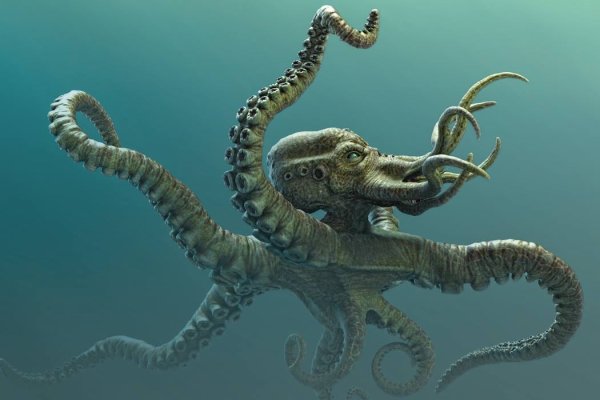 Рабочий сайт kraken