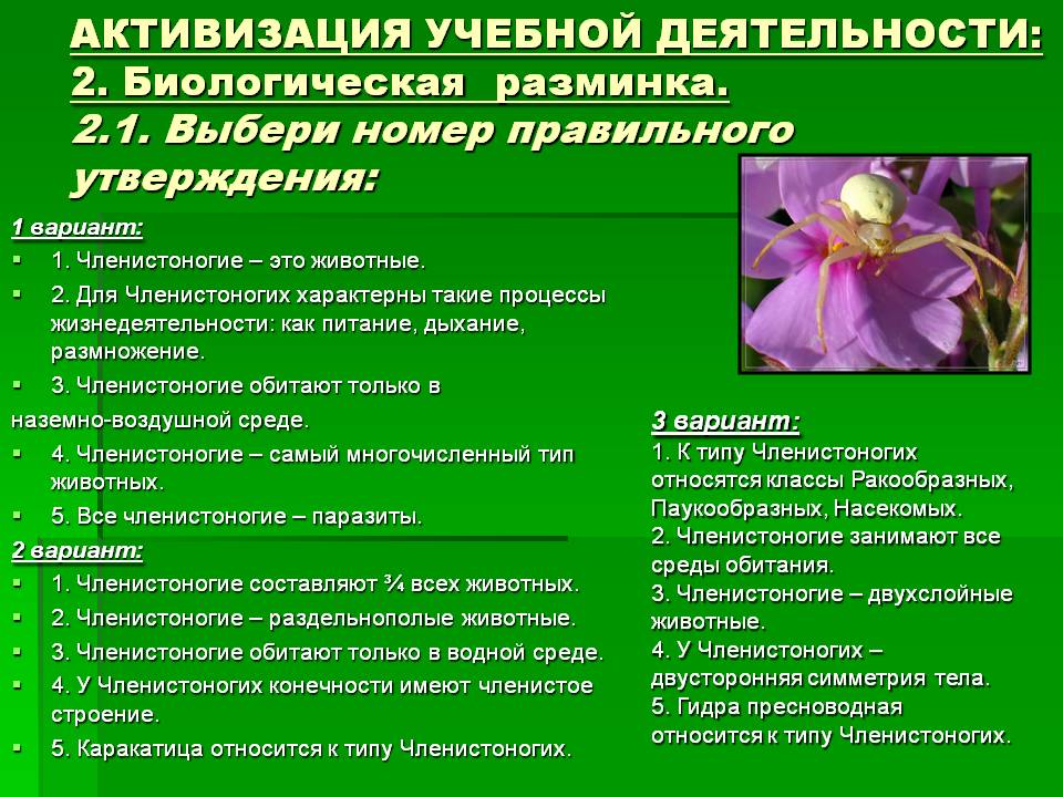 Kraken сайт tor